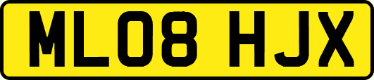 ML08HJX
