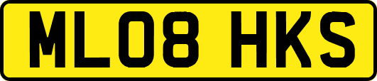 ML08HKS