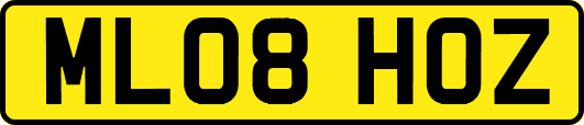ML08HOZ