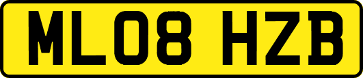 ML08HZB