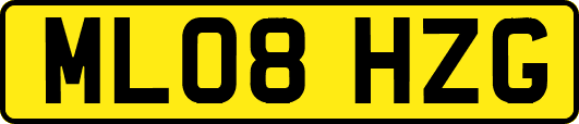 ML08HZG