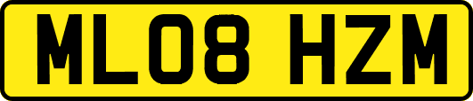 ML08HZM
