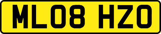 ML08HZO