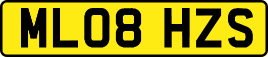 ML08HZS
