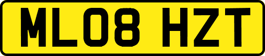 ML08HZT