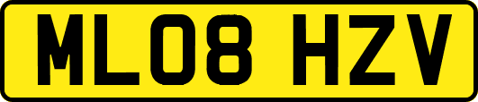 ML08HZV