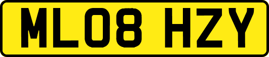 ML08HZY