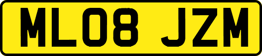 ML08JZM
