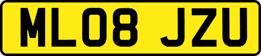 ML08JZU