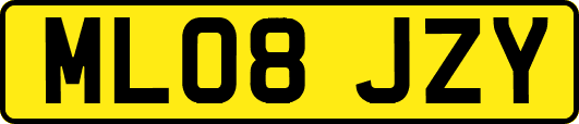 ML08JZY