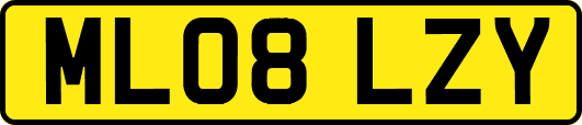 ML08LZY