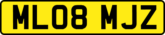 ML08MJZ