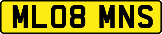ML08MNS