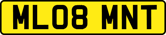 ML08MNT