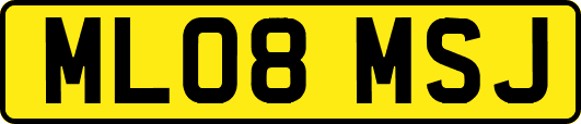 ML08MSJ