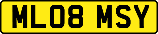 ML08MSY