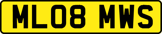 ML08MWS