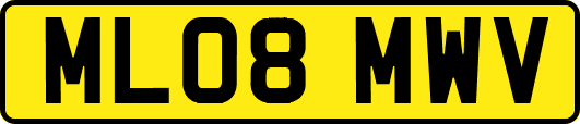 ML08MWV