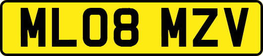 ML08MZV