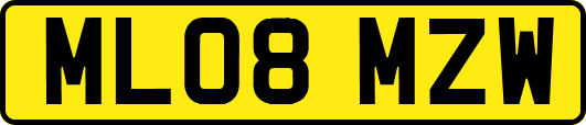 ML08MZW