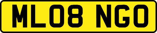 ML08NGO