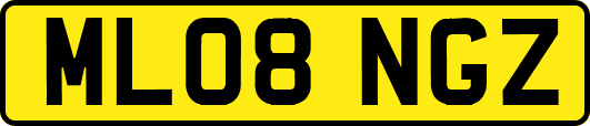 ML08NGZ