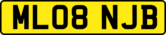 ML08NJB