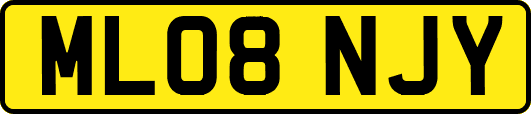 ML08NJY