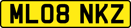 ML08NKZ
