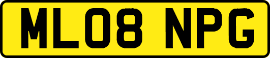 ML08NPG