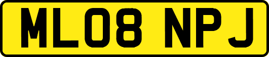 ML08NPJ
