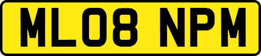 ML08NPM