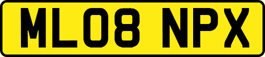 ML08NPX