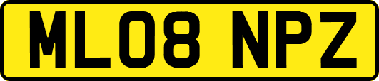 ML08NPZ