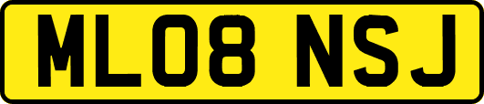 ML08NSJ