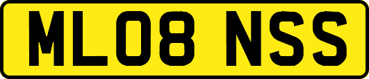 ML08NSS