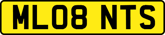 ML08NTS