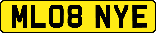 ML08NYE