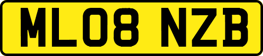 ML08NZB