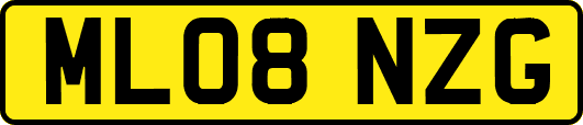 ML08NZG
