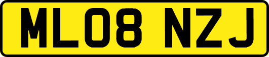 ML08NZJ