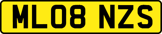 ML08NZS