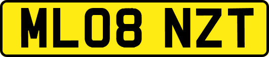 ML08NZT