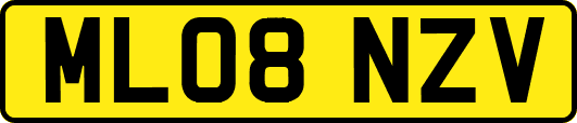 ML08NZV