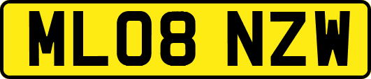 ML08NZW