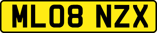 ML08NZX