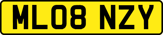 ML08NZY
