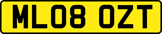 ML08OZT