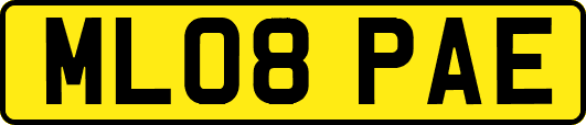 ML08PAE