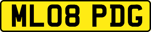 ML08PDG
